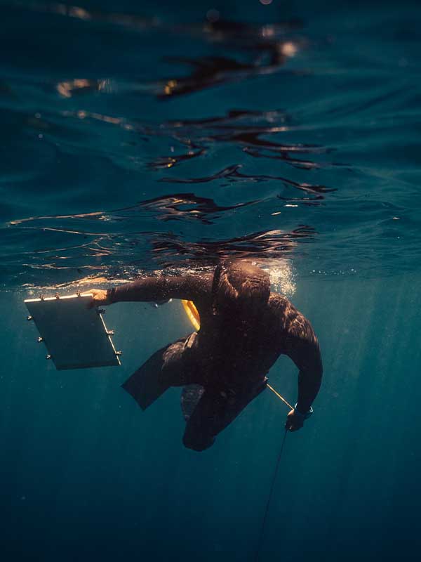 sodeep-negatif.12.50-peinture-en-apnee-sous-l-eau-marseille-2023-shooting-underwater-freediving_0000s_0000_Négatif 12,50