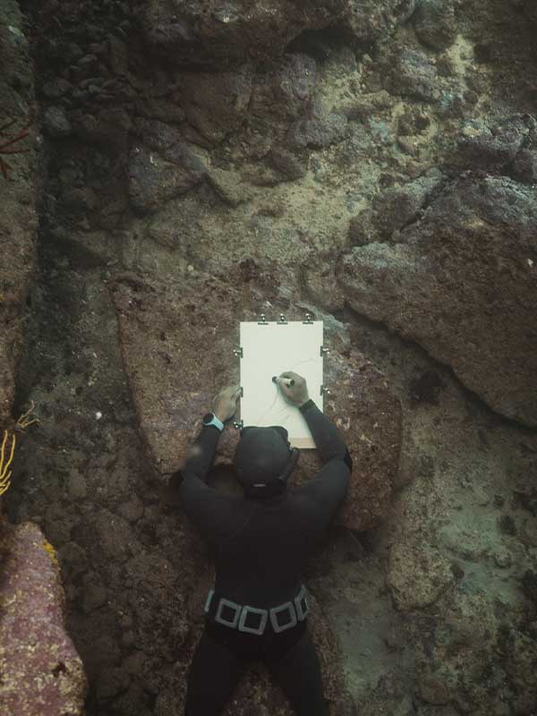 sodeep-negatif.12.50-peinture-en-apnee-sous-l-eau-marseille-2023-shooting-underwater-freediving_0000s_0003_Négatif 12,50